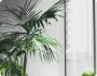 焦点赛事前瞻： - 芒果体育
