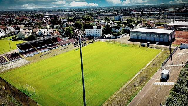 明显优于勇 明显优于勇