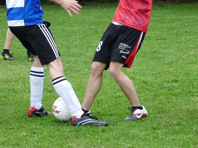 说是一个严 说是一个严