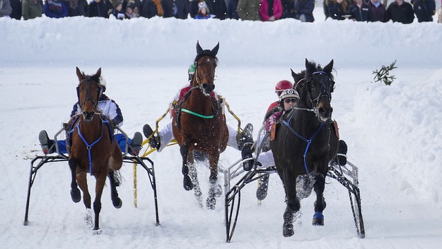 退役生活 退役生活