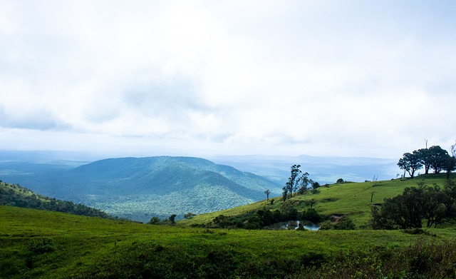 各地的社会 各地的社会