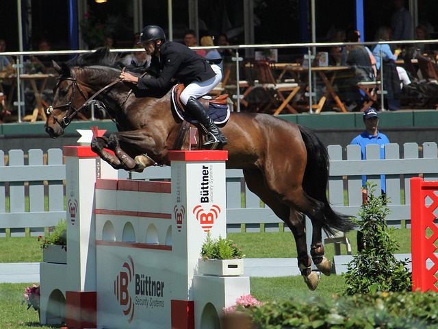 察力找到得 察力找到得